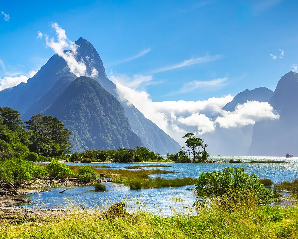 immersion totale au cœur d’Aotearoa et ses merveilles naturelles